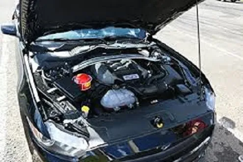 Afo%20Auto%20Fire%20off%20Plastic%20Fire%20Extinguisher%20Ball%20Standard%20Size%20Orange%20Ball%20For%20Cars%20Home%20Office%20Restaurants%20Industries%20Room%20Business%20-%20Image%208