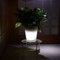 Amamia Landscape Light Weather-resistant Modern LED Solar Flower Pot Illuminated Planter Vase. 