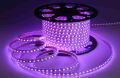 Purple Rope Led Strip light with Adapter 1 meter - RECO. 