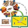 Mouse and Rat Trap Book - Rat Catcher Glue Board. 