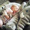 Creative Gray Plush Elephant Pillow Kids Bed Sleeping Elephant. 