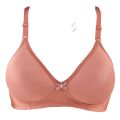 Non Wired Brazier for Women Plain Foam Padded Lifting Bras for Girls with Adjustable Straps and Back Closure for B and C Cups. 
