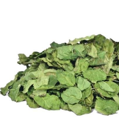 Dry%20Moringa%20Leaves%20%7C%20%D8%AE%D8%B4%DA%A9%20%D8%B3%DB%81%D8%A7%D9%86%D8%AC%D9%86%D8%A7%20%D9%BE%D8%AA%DB%92%20%7C%20khushk%20Suhanjna%20Ke%20Pattay%20%7C%20250%20Grams%20-%20Image%202