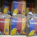 Fonio Paddy Seeds 100g (imported) for all birds. 