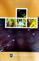 Pilot Mathematics Class 8th Key Book. 