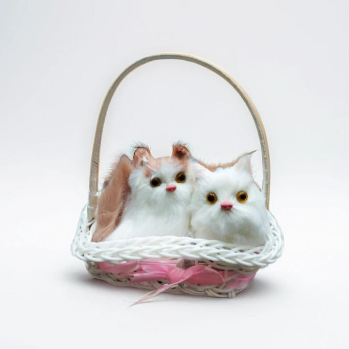 Cats Gift Pack , 2 Cute Cats in Basket with Meowing Sound, Perfect Gift