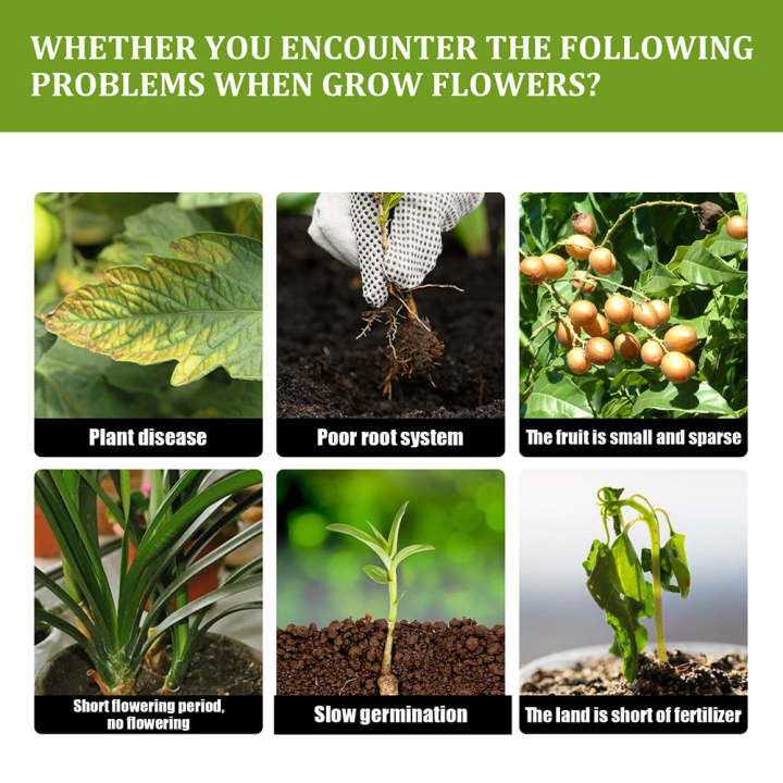 Plant%20Protein+%20-%20Image%207