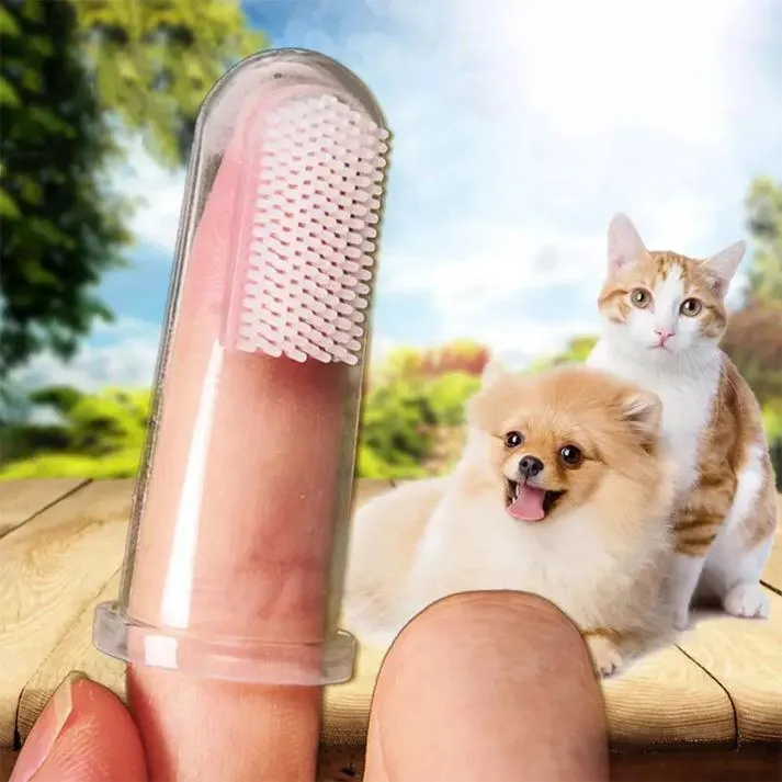 Dog%20&%20Cat%20Super%20Soft%20Silicone%20Finger%20Toothbrush%20New%20Arrival%20Cat%20Dog%20Toothbrush%20-%20Image%204