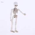 Dollhouse Miniature Shelf Decor 8.7cm Skeleton Doll Mini Action Figures Toy. 