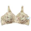 Digital Print Cotton Bra Brazer for Women Ladies Girls Undergarments. 