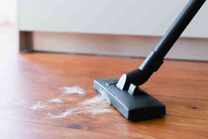 Home%20Appliances%20/%20Vacuums%20&%20Floor%20Care%20/%20Vacuum%20Cleaners%20-%20Image%203