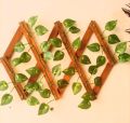 Money Plant Leaves Fence Wooden Frame Wall Hanging 2ft Retractable Garden Decoration with Bale of Leaves. 