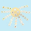 Life Cycle Toy Interesting Life Cycle Jigsaw Puzzles Plant Growth Matching Game. 