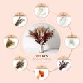 100PCS Boho Decor Flowers Natural Dried Flowers for Home Decor Boho Bathroom Decor, Office Decor. 
