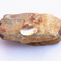 High Quality Natural Dur E Najaf Stone For Ring from Wadi Al Salam  Iraq | Beautiful Real Gemstone. 