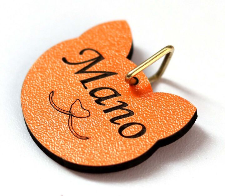 Cat%20Faced%20Tag%20Identification%20Tag%20Id%20in%20Pakistan%20-%20Image%207