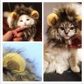 Cute Pet Cosplay Clothes Wig Emulation Transfiguration Costume Lion Hair Mane Ears Head Cap For Pet Cat Dog Dress Up Photo Props. 