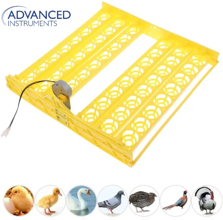 56%20Eggs%20Mini%20Incubator%20Hatcher%20Automatic%20Egg%20Turning%20Tray%20Tool%20with%20Motor%20Convenient%20and%20Safe%20Egg%20Incubator%20Hatching%20poultry%20like%20chickens,%20ducks%20and%20so%20on.%20Also%20hatching%20birds%20like%20quail,%20parrots,%20-%20Image%203