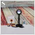 Sixonic Remote Control RGB Sunset Lamp Projector 16 Colors Table Lamp For Photoshoot Live Video Home & Room Decoration Birthday Dance Party Etc. 