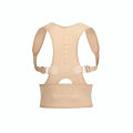 Royal Posture Align Support Spine Belt Back Correct Brace Belt. 