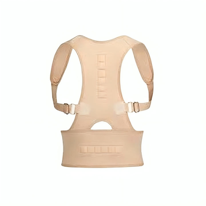 Royal Posture Align Support Spine Belt Back Correct Brace Belt