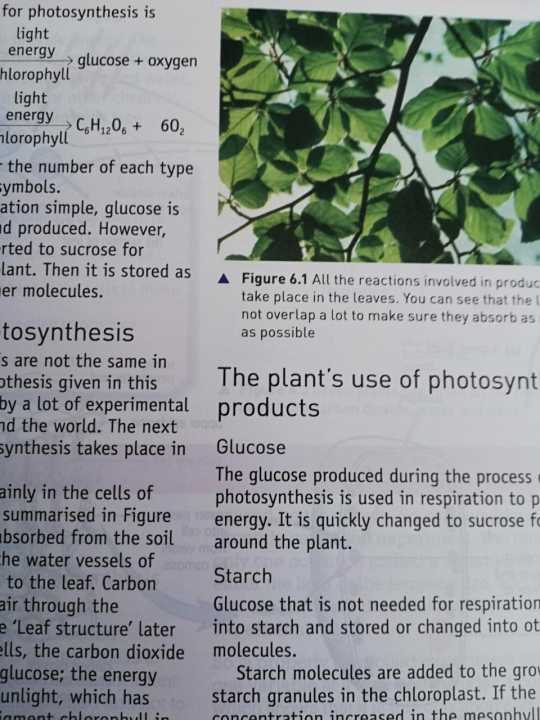 ambridge%20O%20Level%20Biology%20-%20Hodder%20Education%20-%20Image%207