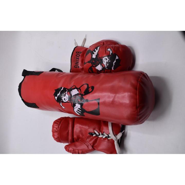 Baby punching bag with two gloves