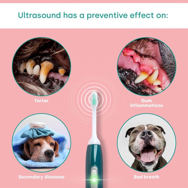 Pet%20Electric%20Toothbrush%20&%20Toothpaste%20-%20Oral%20&%20Skin%20Care%20Set%20for%20Pets%20-%20100%25%20Ultrasound%20Cleans%20Completely%20Silently%20-%20no%20Bristle%20Movements%20and%20no%20Vibration%20-%20for%20Cleaner%20Teeth%20/%20Healthier%20Gums%20/%20Fresher%20Breath%20-%20Image%205