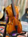 Professional Violin 4/4 Size  Wooden Violin With Accessories - Original. 
