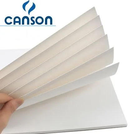 Canson%20Sheets%20(%20pack%20Of%2010%20)%20-%20Image%202