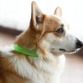 Pet Cooling Collar Self Cooling Cat Collar for Hot Weather Washable Wear-resistant Pet Collar for Cats Dogs Quick Release Summer Cooling Collar. 