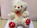Imported Cute White Teddy Bear Soft Stuffed Plush Toy For Kids. 