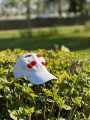 Pintresty Embroidered Cherry Cap for Girls. 