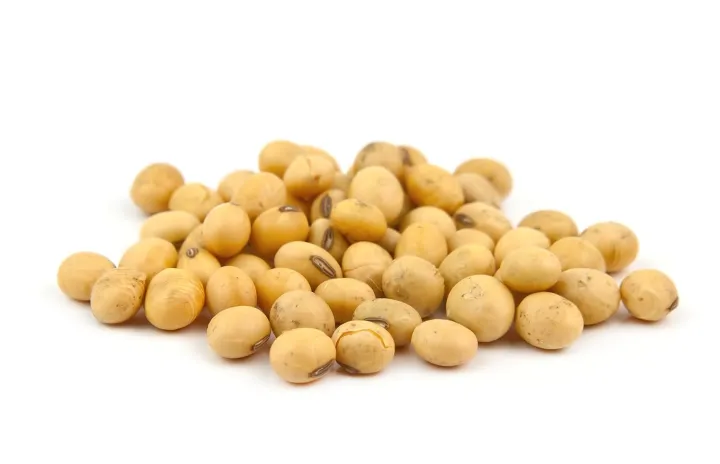 Hunza%20Organic%20Soybeans%20-%20Image%206