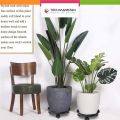 Techmanistan Rolling Round Plant Pot Stand With 3 Wheels, Round Plant Moving Plant Pot Stand Caddy For Indoor or Outdoor Heavy Duty Planter, Patio & Garden Planter Stand Gamla Stand Outdoor Plant Stand Indoor Garden Pot Stands Planter Holders. 