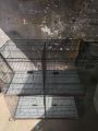 Birds cage Avery Eight portion heavy wire. 