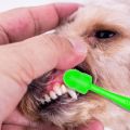 Dog Toothbrush Pet Supplies Cat Silicone Toothbrush Mouth Cleaning Care HAPPYTIME. 