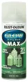 Glow in the Dark Spray Paint Rustoleum USA. 