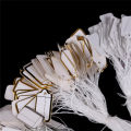 100X Labels Tie String Strung Price Tickets Jewelry Watch Clothing Display Tags. 