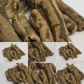 Turpeth| Turbud | تربد | Operculina turpethum 150 gm - ZAIQA ORGANICS. 