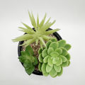 Black Ceramic Pot With Artificial Plant And Pebbles Home Decor. 
