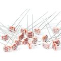 5MM LDR Photosensitive Sensor Module Light Dependent Resistor Sensor Module Digital Light Detection LM393 3 pins for Arduino. 