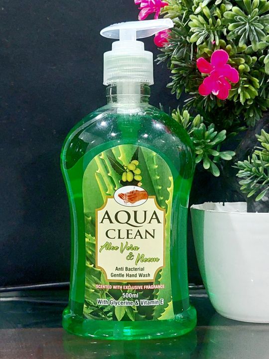 Bliss Aloe Vera & Neem Handwash - 500ml Pump Bottle