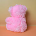 Cute Looking Little Pink Teddy Bear Soft Toy for Kids.. 
