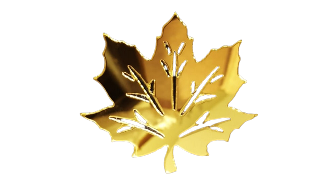 3D%20Leaf%20Mirror%20Wall%20Acrylic%20Decor%20(55%20mm%20X%2055mm)%20Removable%20for%20Bedroom%20Living%20Room%206%20to%2048%20Pieces%20-%20Image%204