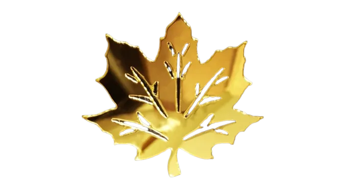 3D%20Leaf%20Mirror%20Wall%20Decal%20Acrylic%20Decor,%204x4%20Inches,%206-48%20Pieces,%20Gold,%20Silver,%20Removable%20Wall%20Sticker%20for%20Bedroom,%20Living%20Room,%20TV%20Wall,%20Home%20Decoration%20-%20Image%203