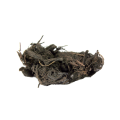 Balchar بالچھڑ (Musk Root) Jatamansi - 100 Grams. 
