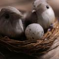 Miniature Resin Cute Set of 6 Bird Nest and Eggs Set Decoration Ornaments. 