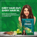 Himalaya Natural Shine Henna Natural Black Mehndi Pack Of 6pcs in pakistan. 