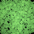 100pcs Color Changing UV Beads Mixed Color Glow In The Dark Beads Jewelry Making Podazz. 